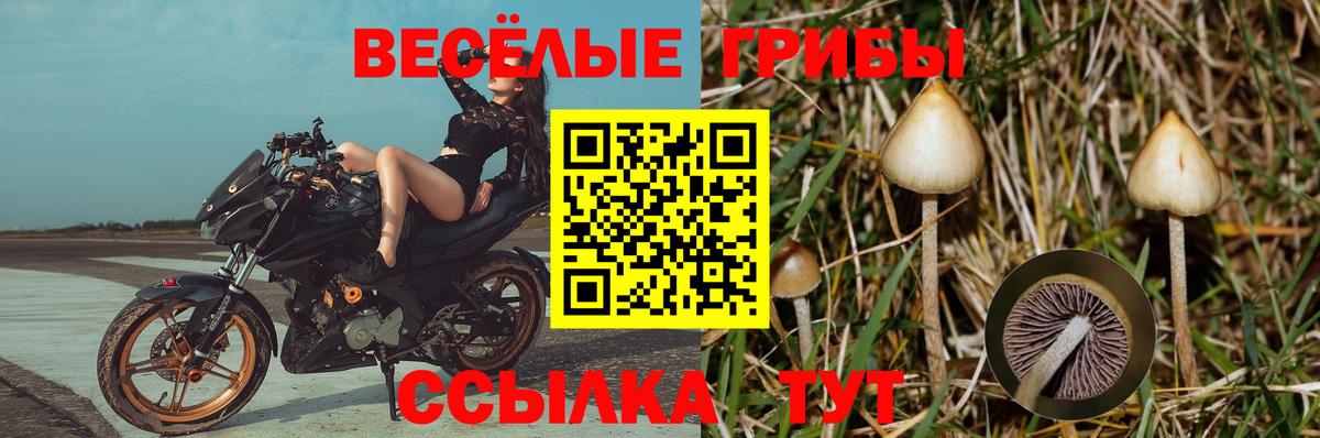 Псилоцибиновые грибы мухоморы Сибай